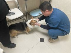 -酷宠动物医院(天通西苑店)