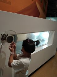 -北京科学中心儿童乐园