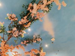 -魅力边城旋转餐厅