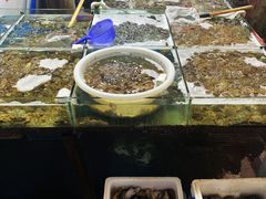 -众彩物流水产市场