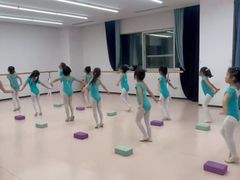 -舞蕾舞蹈(特长生校区)