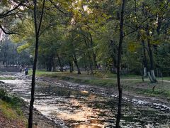 -长白岛森林公园