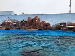 -上海海昌海洋公园