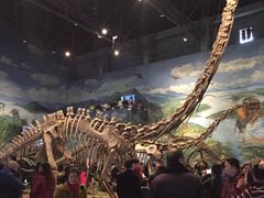 -自贡恐龙博物馆