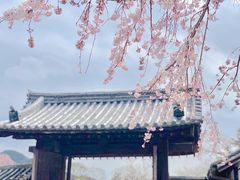 -醍醐寺