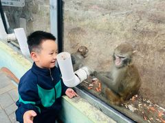 -北京鹿世界主题园