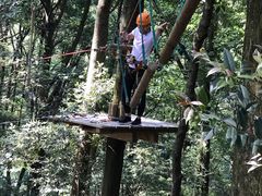 -衢州大荫山丛林飞越探险乐园