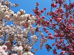 -利群胶州购物广场(澳门路店)