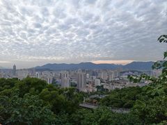 -金鸡山公园