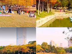 -莲花山公园