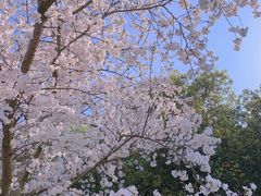 -凤凰沟景区