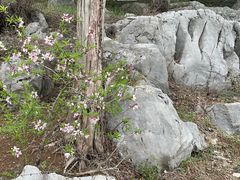 -太湖好灶头土菜馆(石公路店)