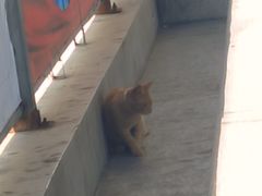 -泉州海丝野生动物世界