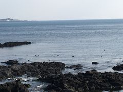 -涉地可支