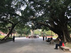 -广州中山纪念堂