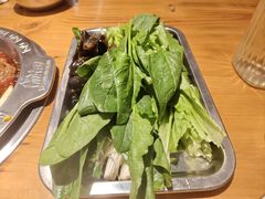 -成老灶火锅鸡(平山店)