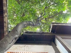 -星巴克(福州三坊七巷店)