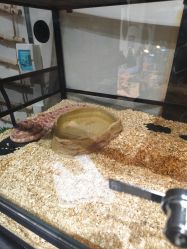 -Zoolung Zoolung动物主题公园(海信广场店)