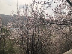 -神木二郎山风景区