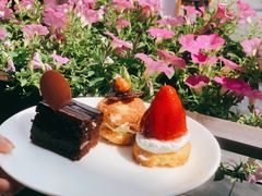 -The COOK·厨餐厅·自助餐(浦东嘉里大酒店)