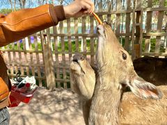 -水上乐园·欢乐世界