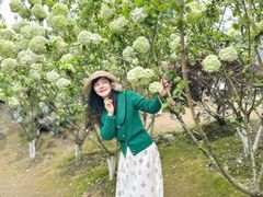 -铁山坪森林公园