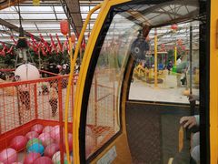 -南宫五洲植物乐园