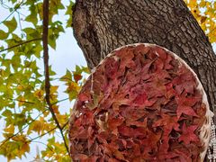 -福州大学(旗山校区)