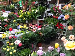 -秦美花卉(天朗·莱茵小城2期店)