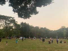 -莲花山公园