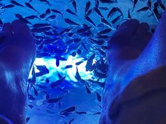 -汤连得温泉馆(宝山店)