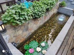 -外婆船宴餐厅·外婆喊你回家吃饭