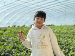 -蓝呗呗蓝莓草莓采摘园(通州区马驹桥店)