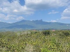 -七仙岭温泉国家森林公园