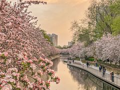 -海棠花溪(元大都城垣遗址公园)