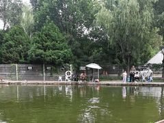 -酷鱼垂钓CLUB(朝阳区博大路店 )