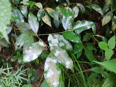 -英西峰林·洞天仙境