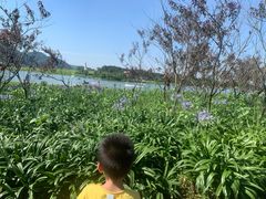 -云漫湖生态度假公园