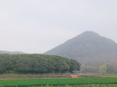 -八卦田遗址公园