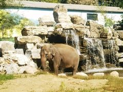 -北京野生动物园