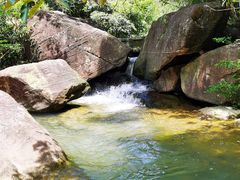 -广州白江湖森林公园