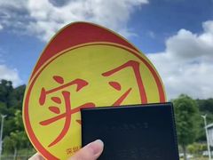 -鹏城驾校·学车·陪驾(宝安店)