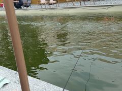 -DGE季风钓虾营地·团建·聚会