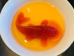 -甄御•海鲜新青岛菜(麦岛店)