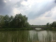 -东郊湿地公园