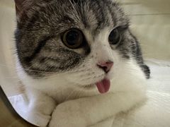 -美联众合动物医院·24h转诊中心