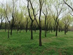 android_upload_pic-蜀冈西峰生态公园