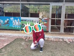 -牛鱼嘴原始生态风景区