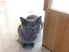 -Catmate·猫肥家润(金润铂宫店)