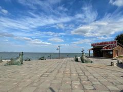 -养马岛旅游度假区